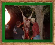 DSCF0024