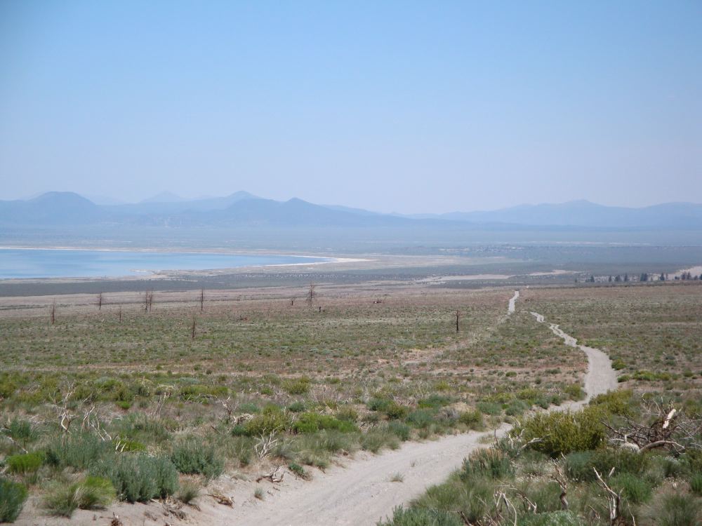 DSC00198