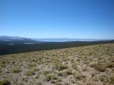 DSC00091