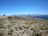 DSC00097