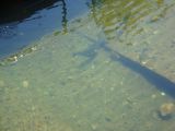 DSC00147