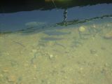 DSC00150
