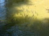 DSC00179