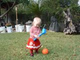DSCF0006